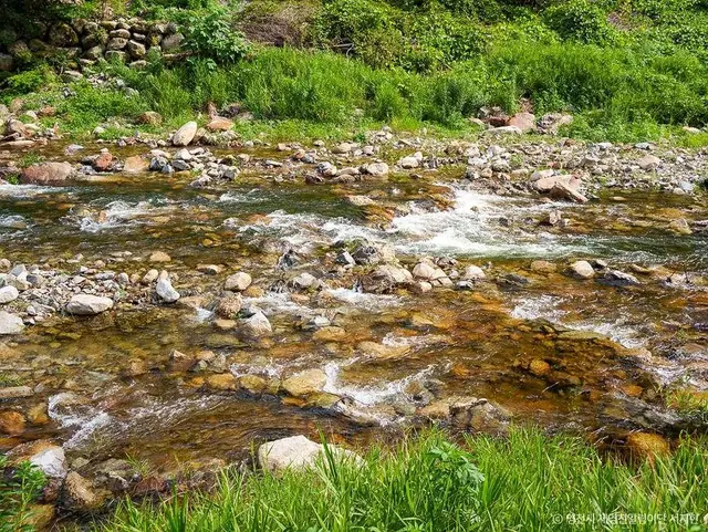 치산계곡 사진