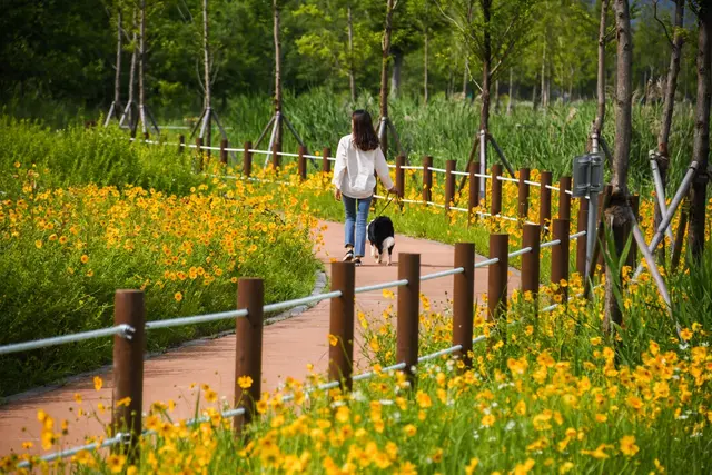 요천생태습지공원 사진