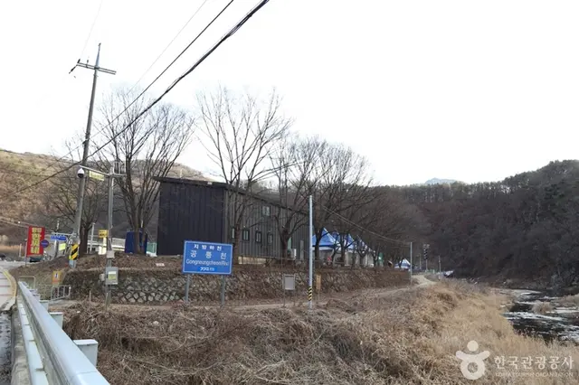일영한씨네 사진