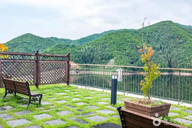 소백산 생태탐방원 사진