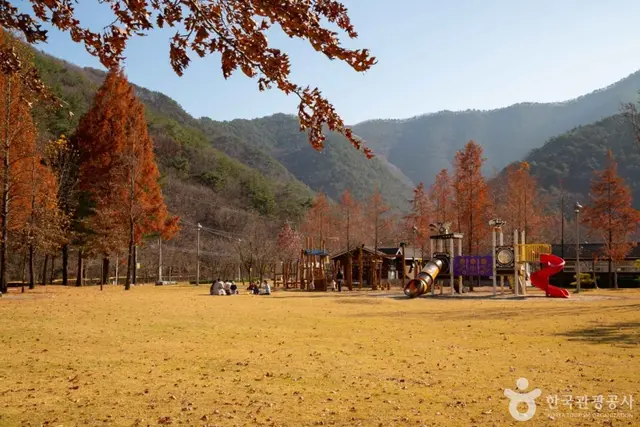 상소동 산림욕장 사진