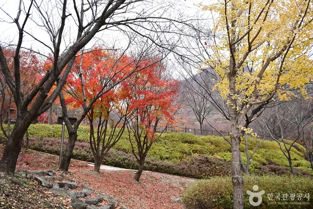 흑석산 자연휴양림 사진