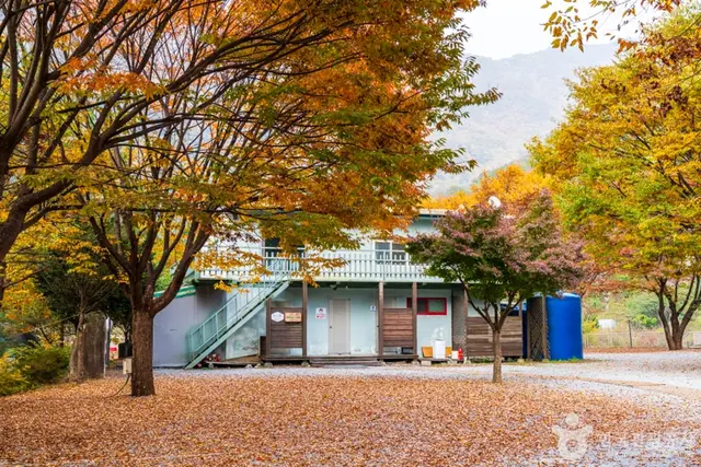 월악오토캠핑장 사진