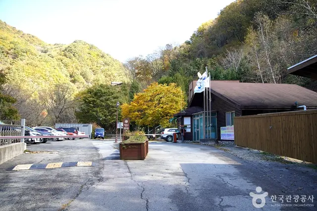 국립 복주산자연휴양림 사진