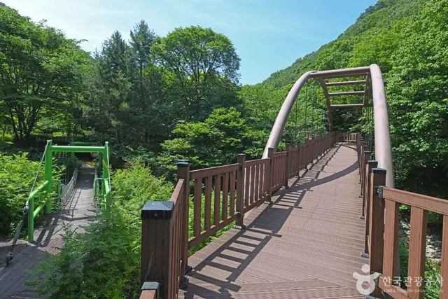 금산생태숲 사진