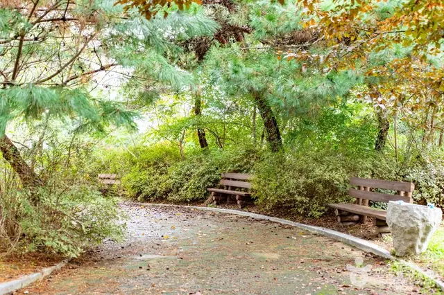불당동유적공원 유아숲체험원 사진