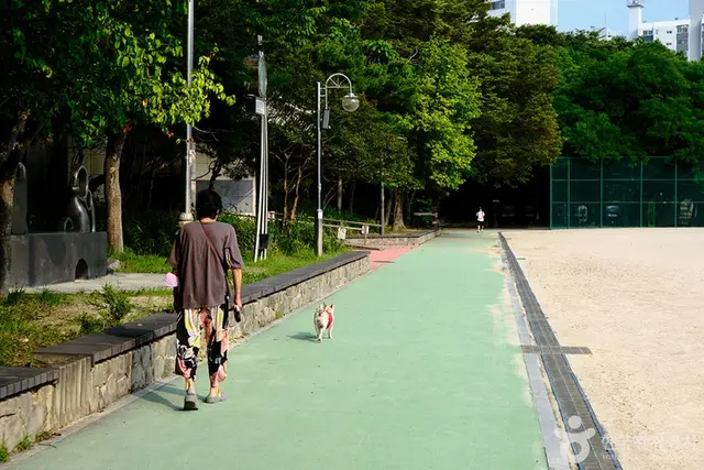노해체육공원 사진