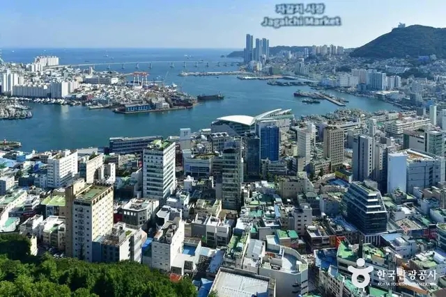 부산타워 사진