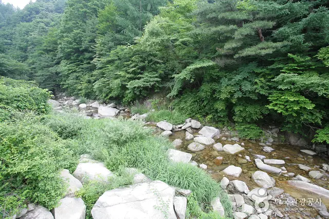용추자연휴양림 사진