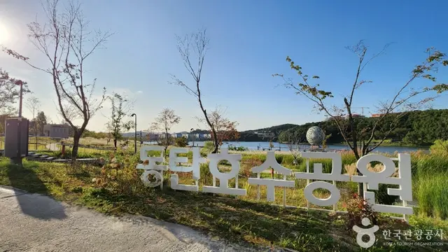 동탄호수공원 사진