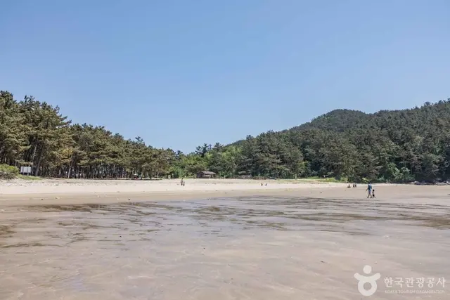 갈음이해수욕장 사진
