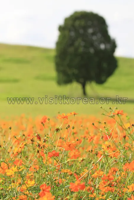 올림픽공원 사진