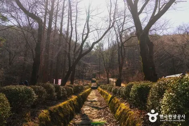 안양수목원 사진