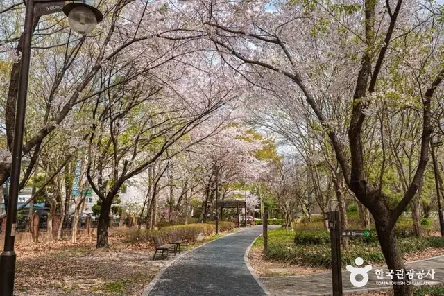 반월놀이공원 사진
