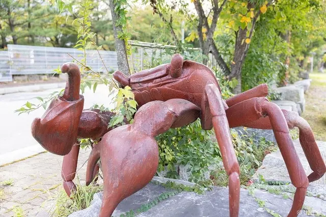 테라크랩팜 사진