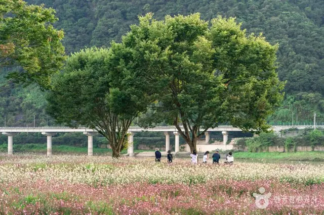 도담정원 사진