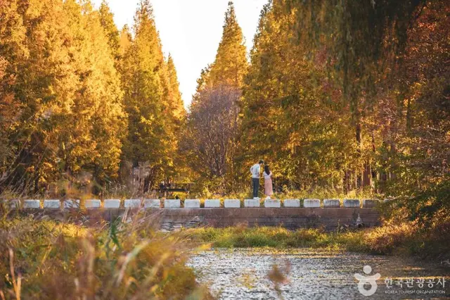 경북천년숲정원 사진