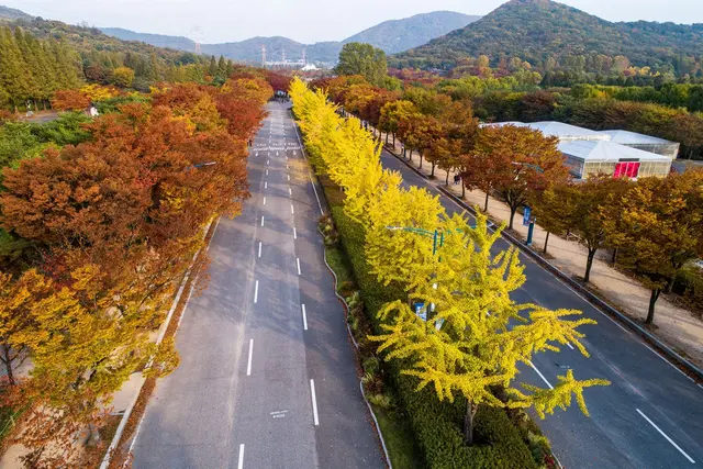 인천대공원 사진
