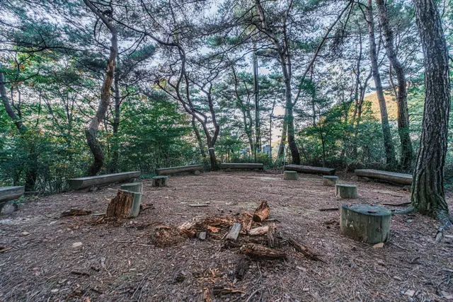 좌구산 자연휴양림 사진