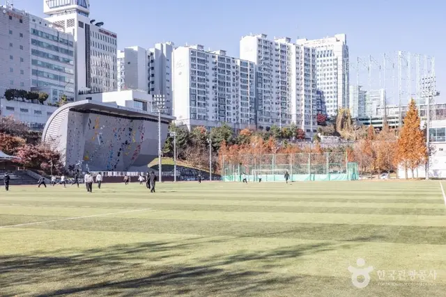 대치유수지체육공원 사진