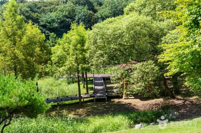 추동인공생태습지 사진