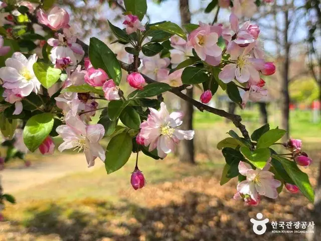 아산문화공원 사진