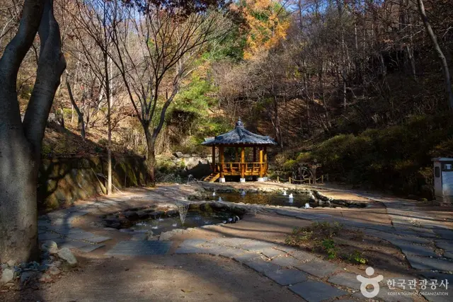 만인산 자연휴양림 사진