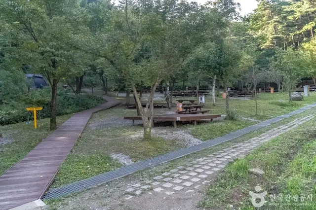 국립대관령자연휴양림 사진