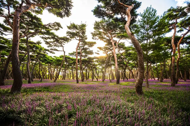 황성공원 사진