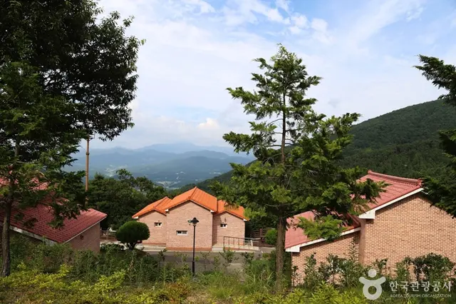 동의보감촌한방자연휴양림 사진
