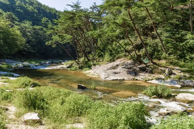석천계곡 사진