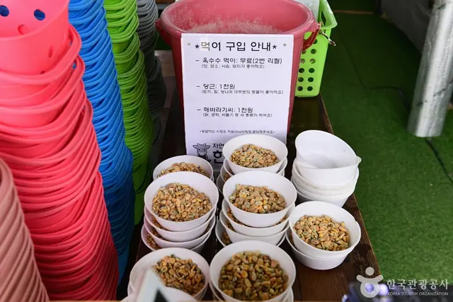 한우드림 동물체험장 사진