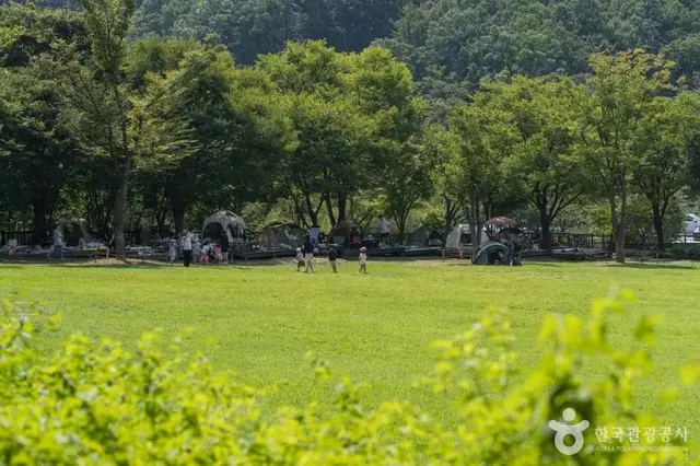 용인자연휴양림 사진