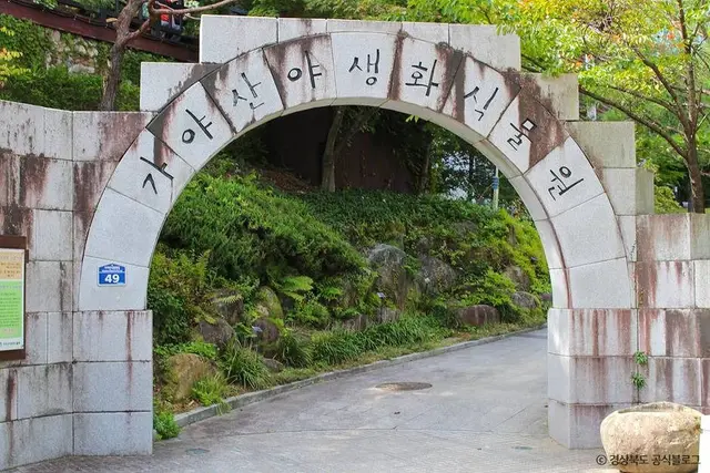 가야산 야생화식물원 사진