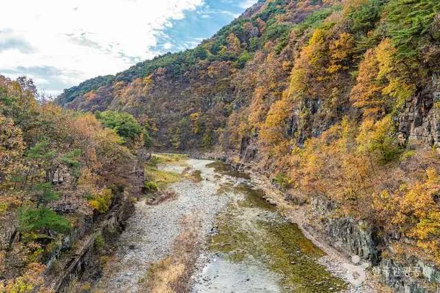 산성계곡생태공원어드벤처 사진