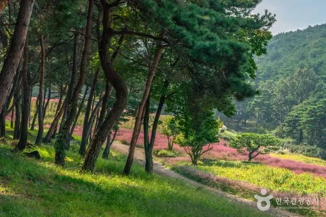 가산수피아 사진