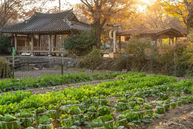 한국민속촌 사진