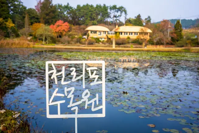 천리포수목원 사진