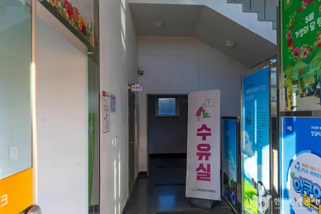 임실치즈테마파크 사진