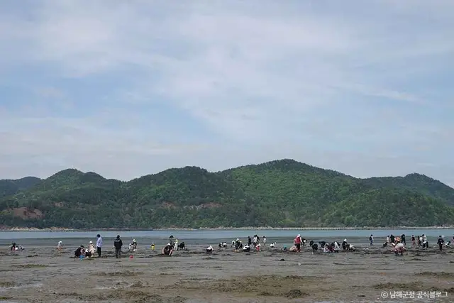둔촌갯벌체험장 사진