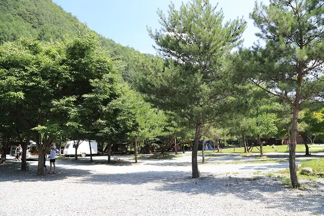 남강캠프 사진