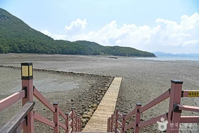 모항갯벌체험장 사진