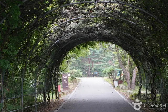 국립 운문산자연휴양림 사진