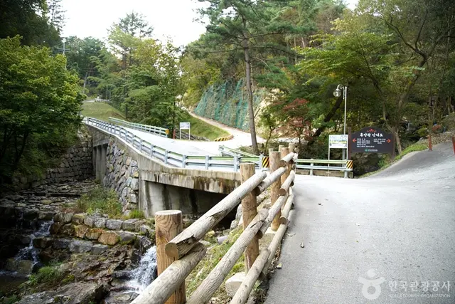 치악산자연휴양림 사진