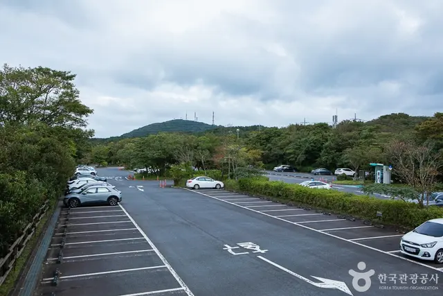 한라생태숲 유아숲체험원 사진