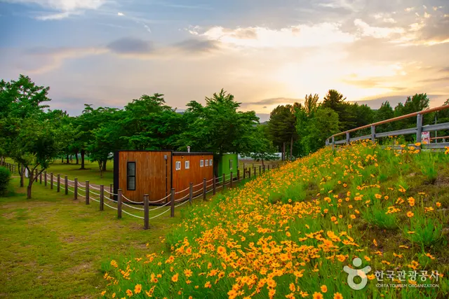 춘천 하중도수변생태공원 사진