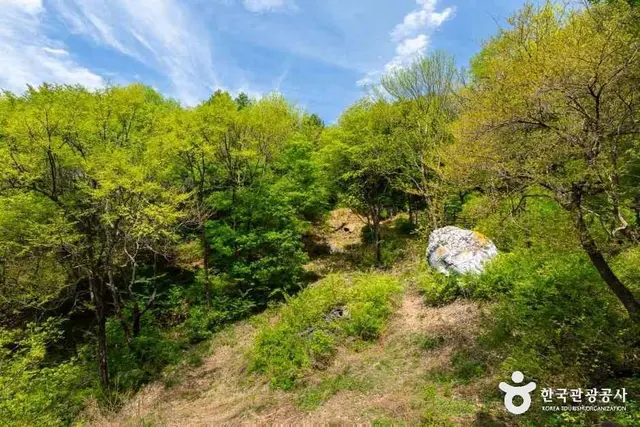 설매재자연휴양림 사진