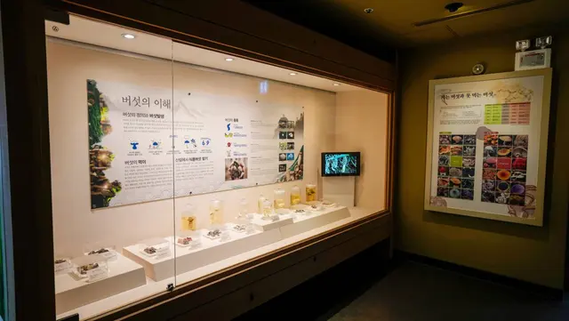 미동산수목원 사진