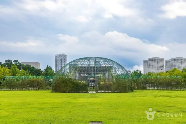대전엑스포시민광장 사진