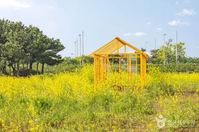 인천공항 하늘정원 사진